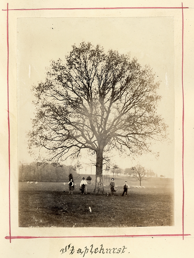 Staplehurst, Kent. Garden with 4 people below tree. Photographed about 1875-80