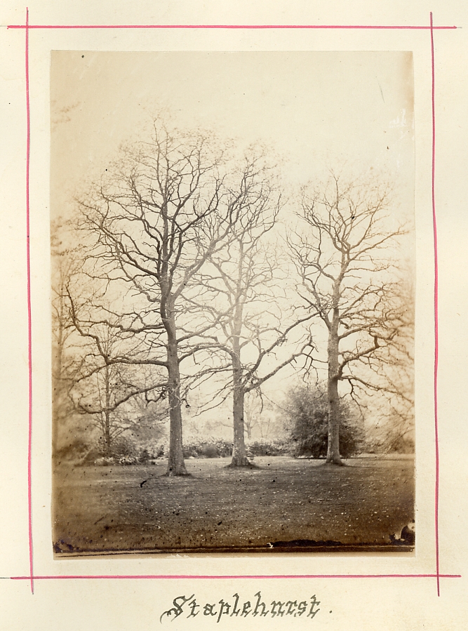 Staplehurst, Kent. Garden with 3 trees. Photographed about 1875-80.