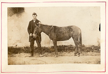 Man holding donkey. Photograph from about 1875-80